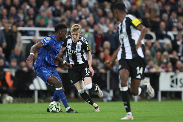 指导和中外 指导和中外